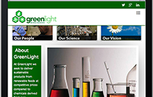 Green company WordPress site Medford MA